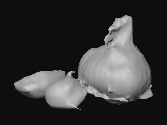 3D model for Garlic Essence