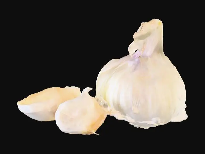 3D model for Garlic Essence