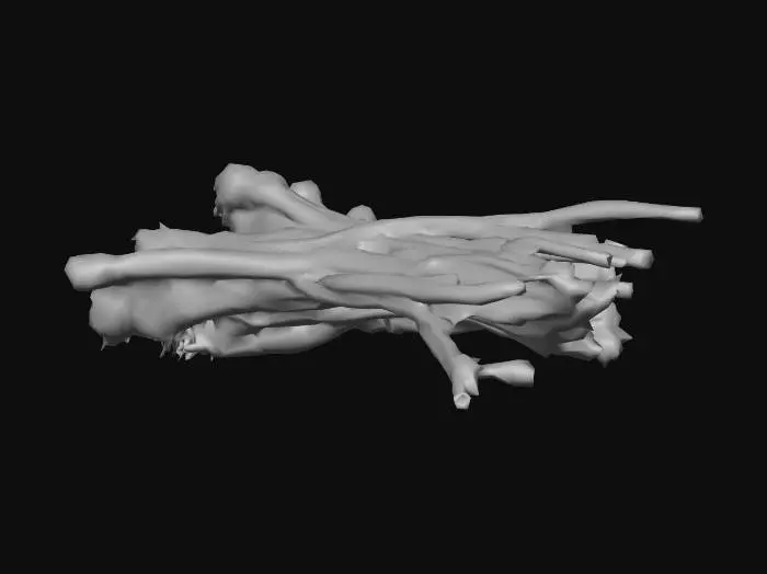 3D model for Green Onions