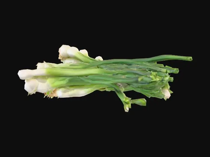 3D model for Green Onions