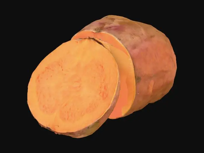 3D model for Sweet Potato Slice