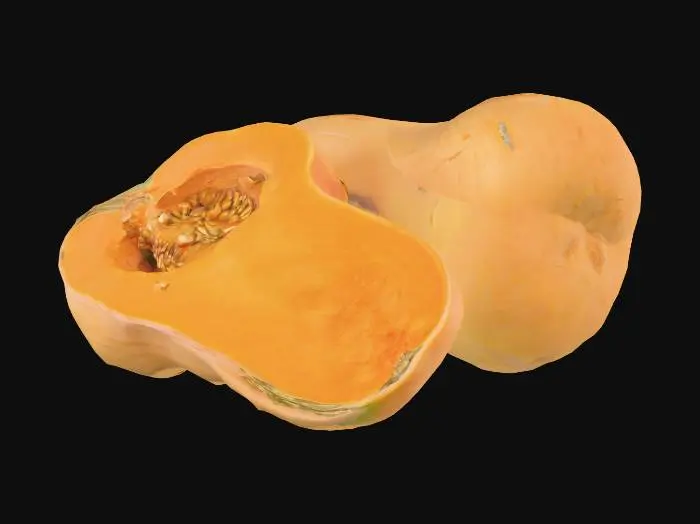 3D model for Butternut Squash Duo