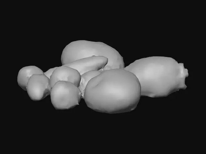 3D model for Potato Assortment