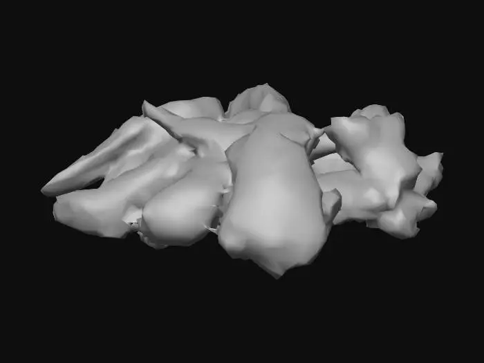 3D model for Shrimp Delicacy