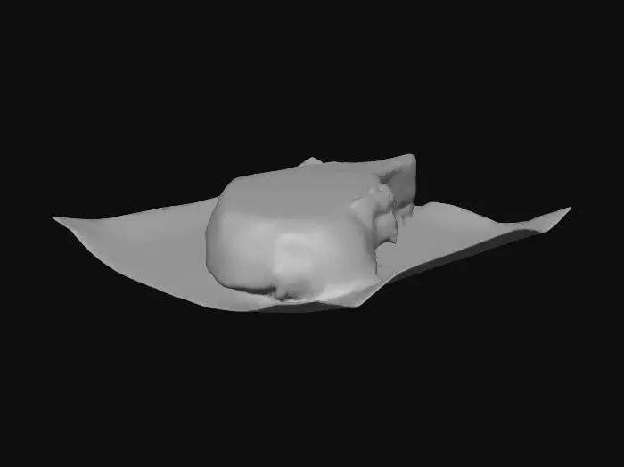 3D model for Pork Chop Presentation