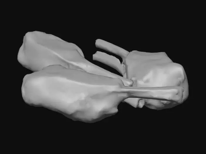 3D model for Lamb Chops on Slate