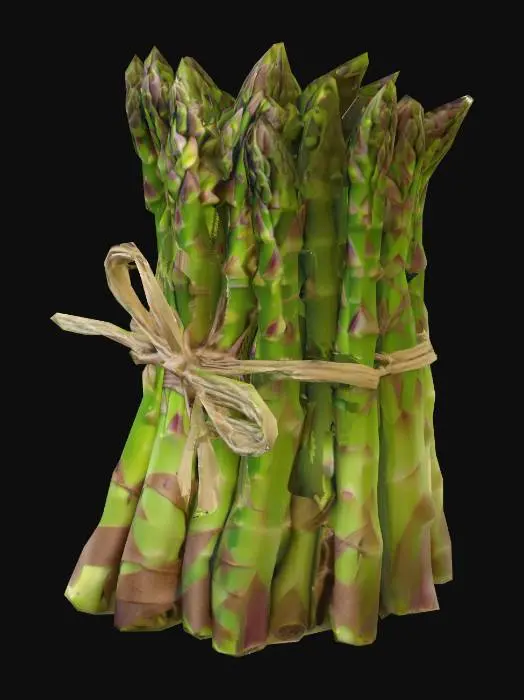 3D model for Asparagus Bundle