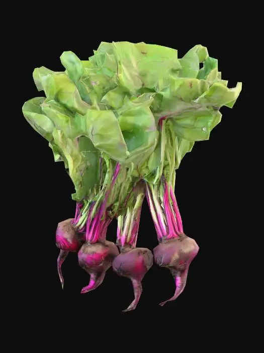 3D model for Beet Bouquet