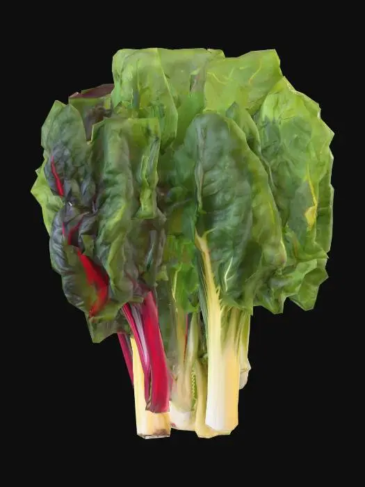 3D model for Rainbow Chard Bunch