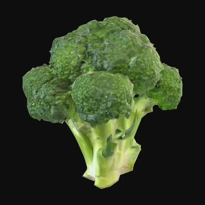 3D model for Onion Trio