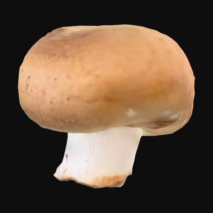 3D model for Mushroom Delight