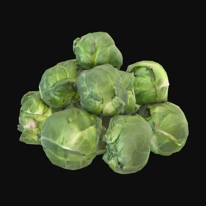 3D model for Brussels Sprouts Cluster