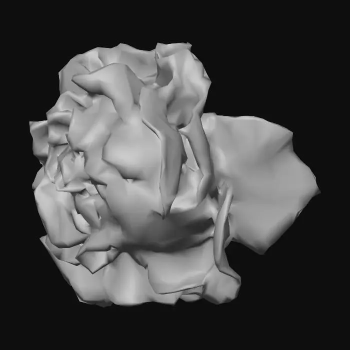 3D model for Lettuce Blossom