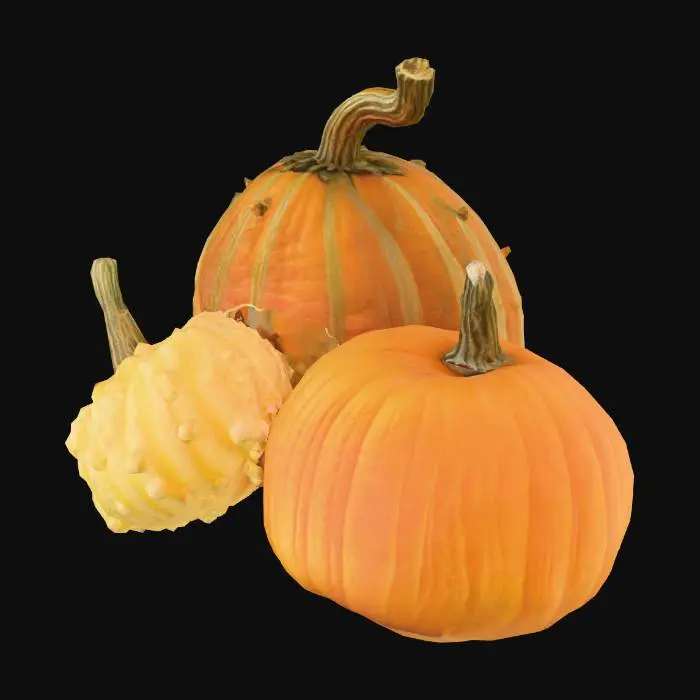 3D model for Pumpkin Trio