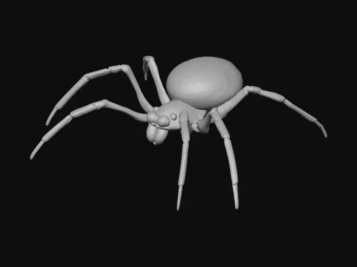 3D model for Yellow-Backed Spider