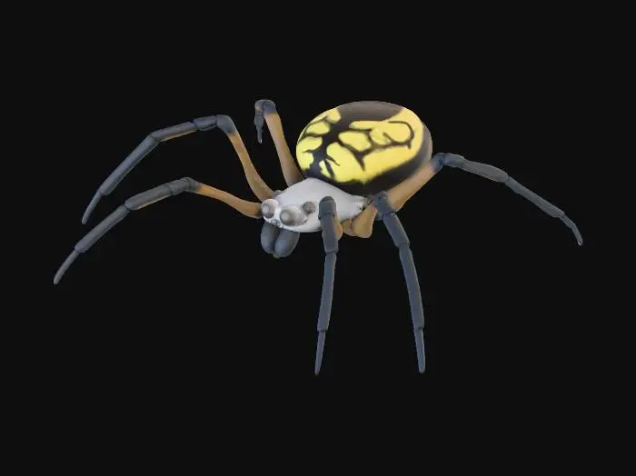 3D model for Yellow-Backed Spider