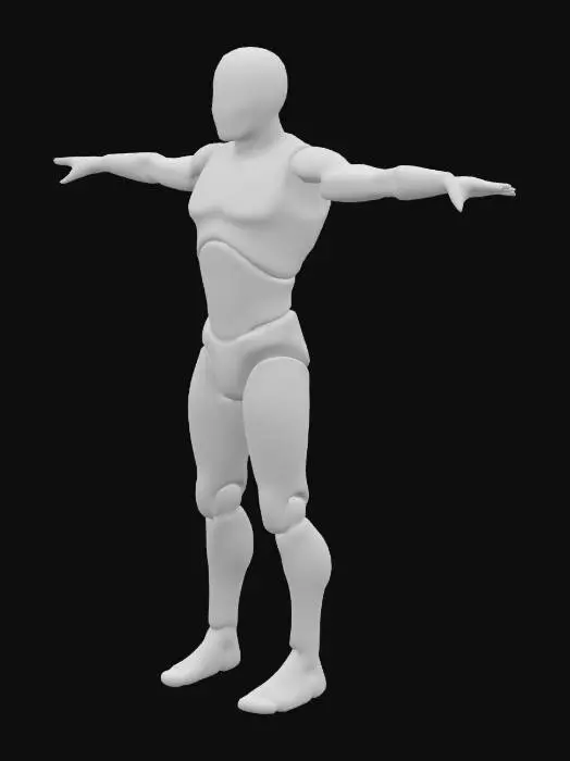 3D model for Robotic Elegance