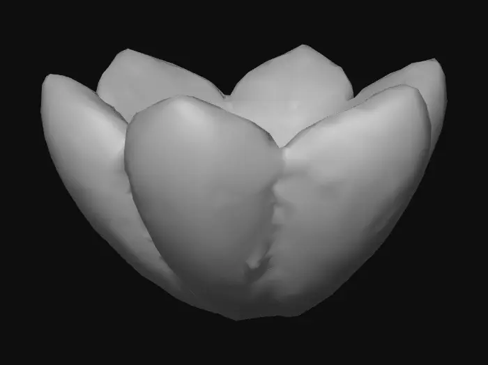 3D model for çiçek şeklinde bir galeta kraker oluştur. tek başına dursun