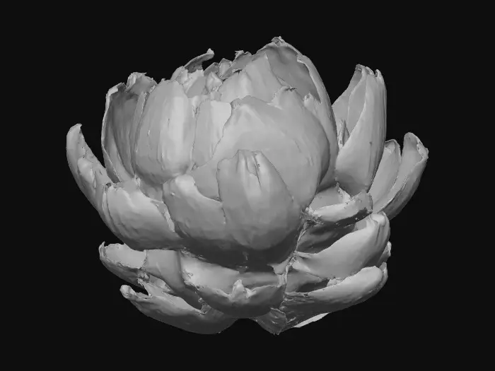 3D model for Artichoke Delight