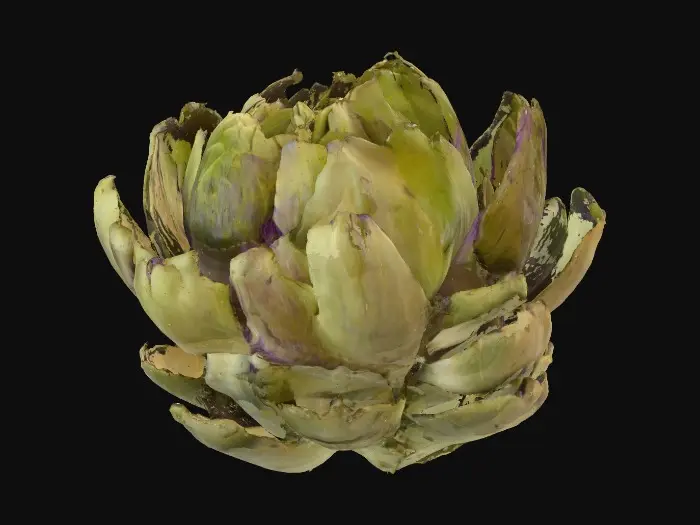 3D model for Artichoke Delight
