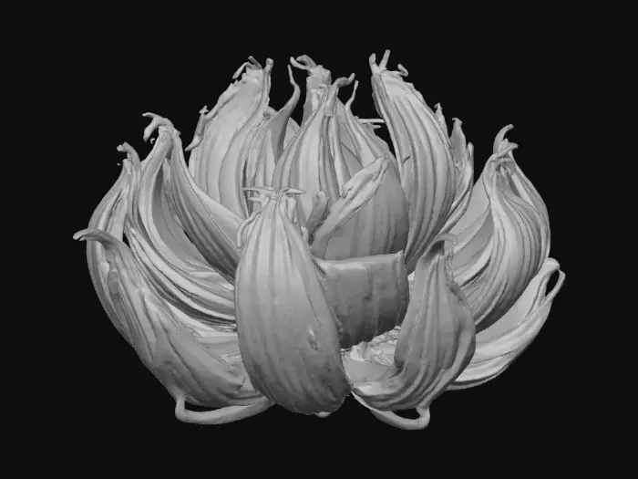 3D model for Roasted Onion Blossom