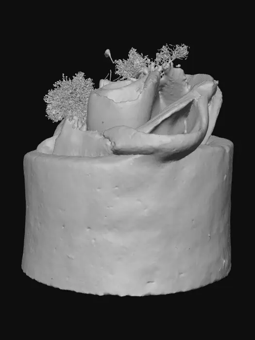 3D model for Crimson Petal Tart