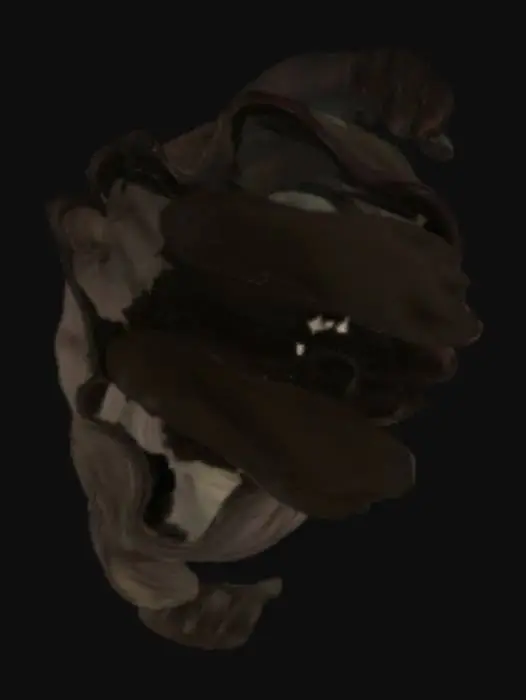 3D model for Spectral Apparition