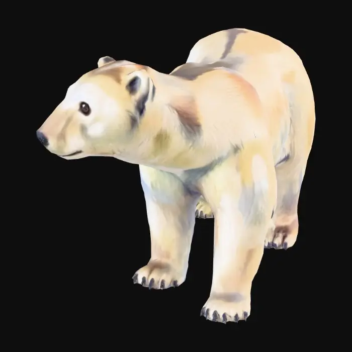 3D model for polar bear