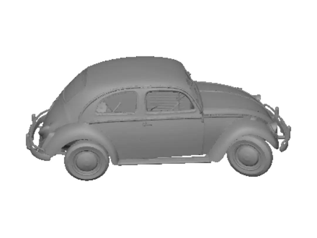 beetle
