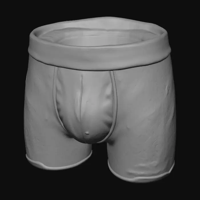 3D model for boxer briefs