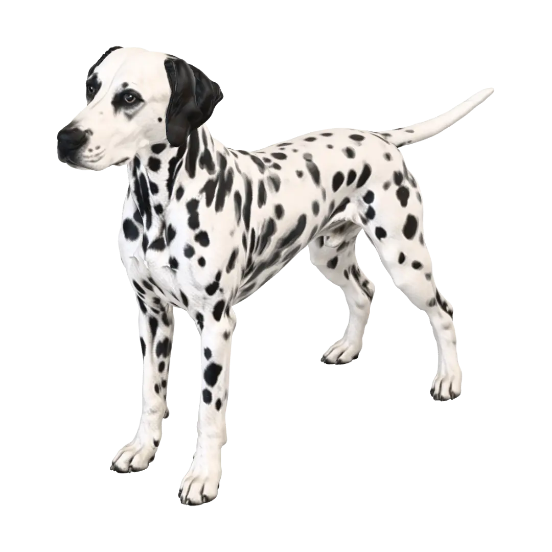 Dalmatiner - Spotlight 3D model, vytvořený pomocí AI