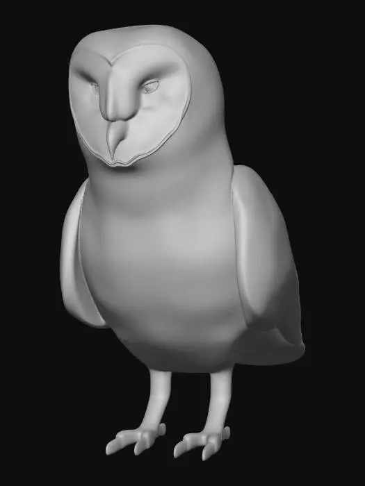 3D model for Heart-faced Barn Owl