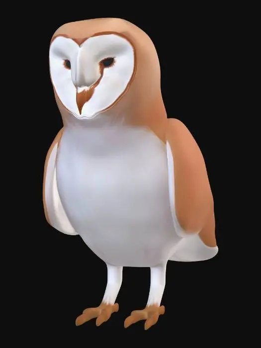 3D model for Heart-faced Barn Owl