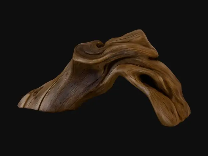 3D model for Driftwood Arch