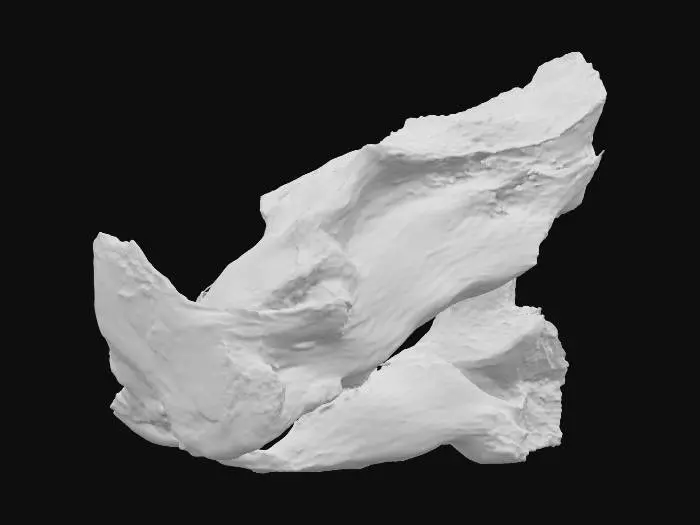 3D model for Desolate Driftwood