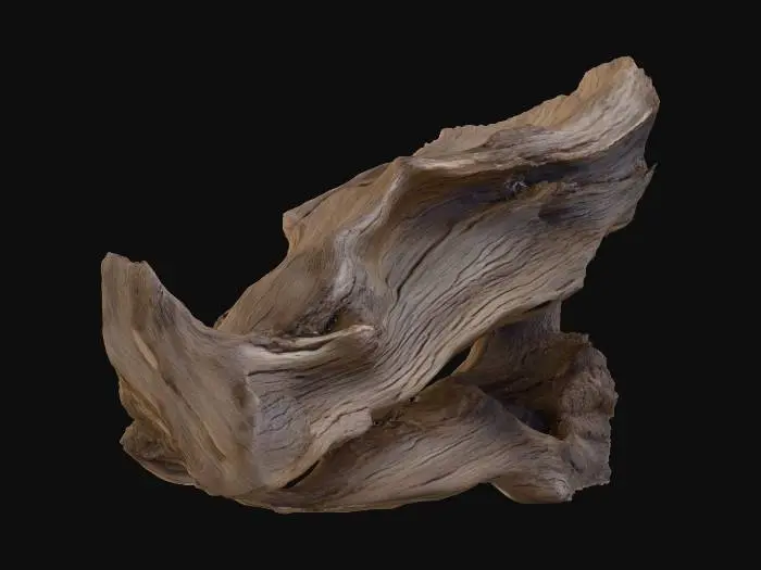 3D model for Desolate Driftwood