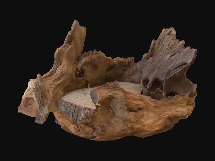 3D model for Driftwood Silhouettes