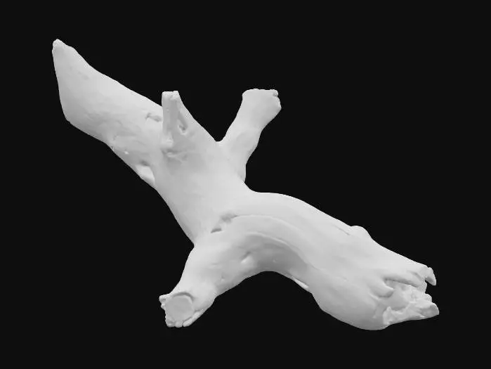 3D model for Driftwood Elegance