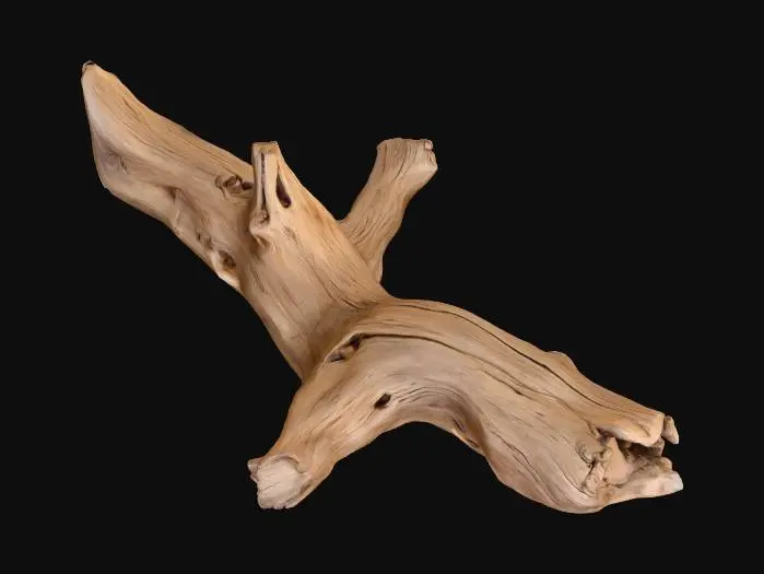 3D model for Driftwood Elegance