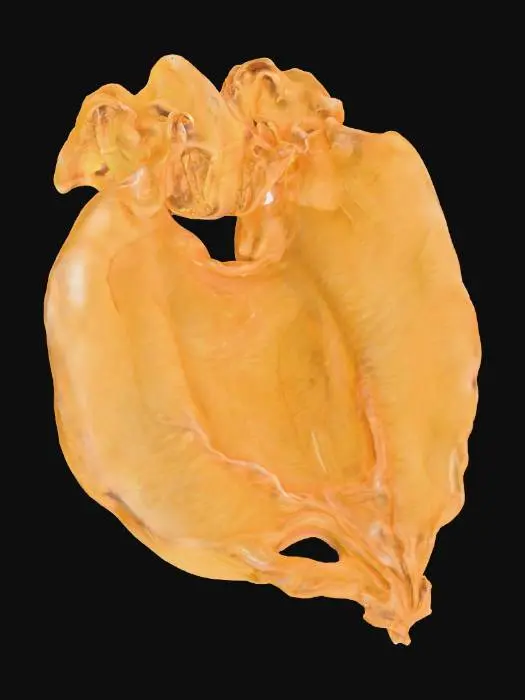 3D model for Dried Lemon Petal