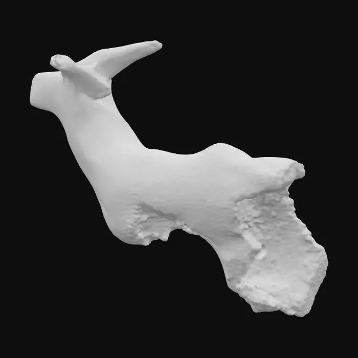 3D model for Driftwood Elegance