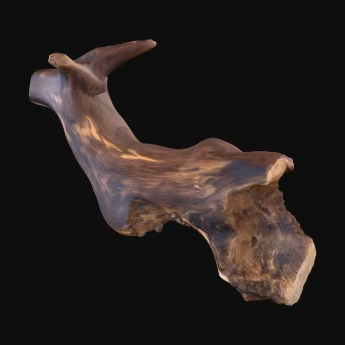 3D model for Driftwood Elegance