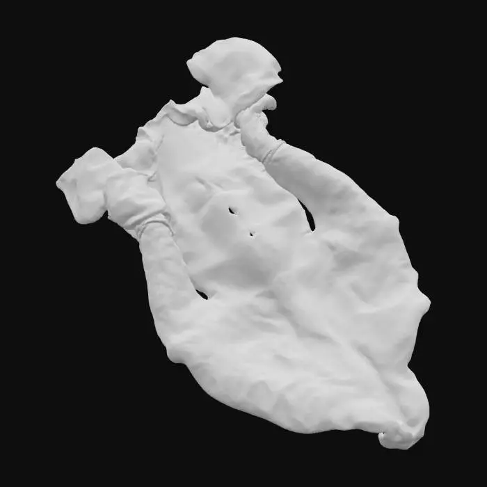 3D model for Translucent Drape