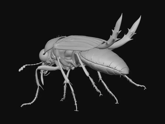 3D model for Apex Chimera