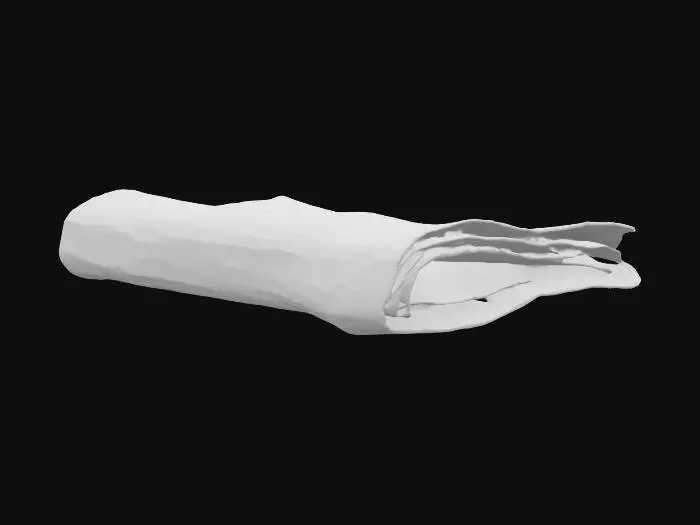 3D model for A discarded, partially unrolled newspaper section, specifically the "Daily Herald" with a headline about local news. The newsprint is a faded off-white, creased and wrinkled from being stepped on, with blurred black ink text and a grayscale photo. Portions of the paper are torn along the edges, revealing rough, fibrous paper texture. It lies slightly damp and soft in some areas, while others are dry and brittle, showing dirt smudges.