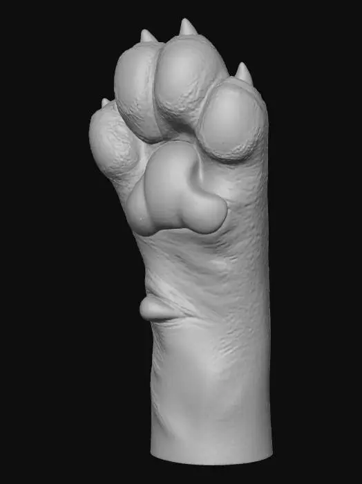 3D model for Cat Paw High-Five