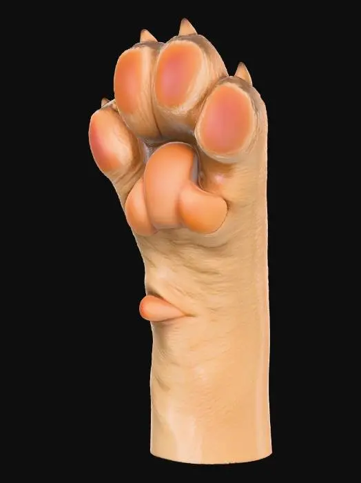 3D model for Cat Paw High-Five