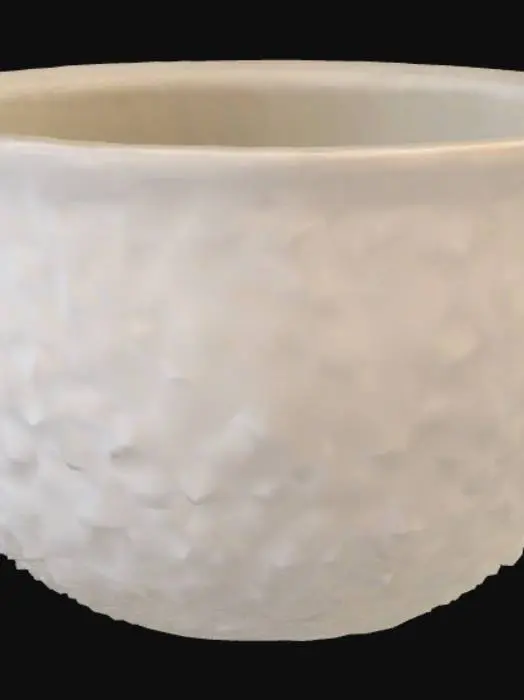 3D model for Cup on a Patterned Surface