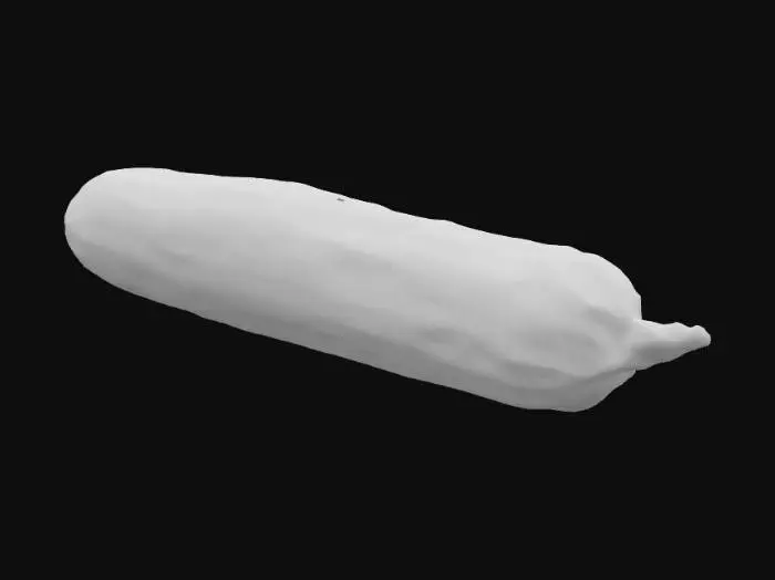 3D model for きゅうり