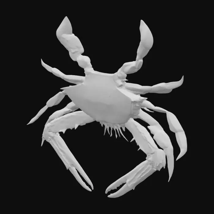 3D model for Blue Crab Illustration